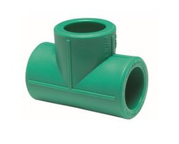 [481119040] TE PPR 40 PN25 TORO 25